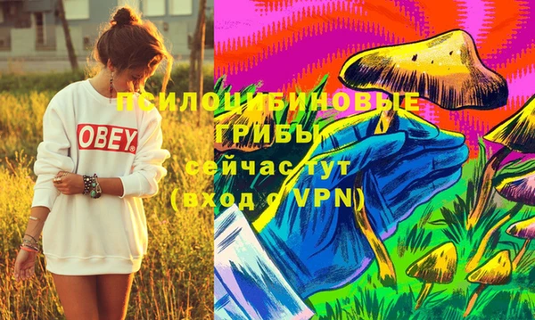 шишки Баксан