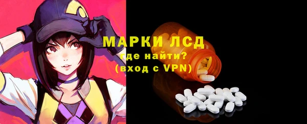 стафф Арсеньев