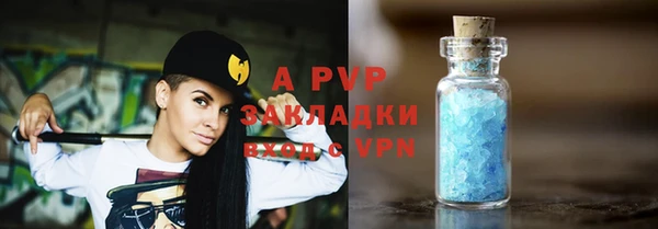 стафф Арсеньев