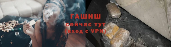 стафф Арсеньев