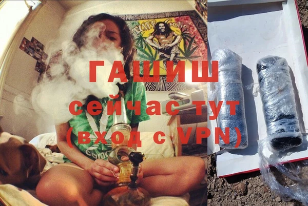 стафф Арсеньев