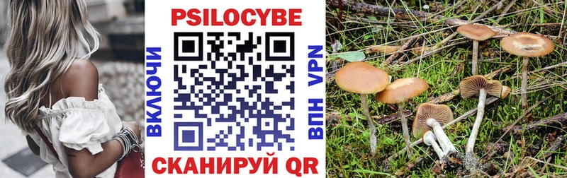 Купить  Арзамас  Галлюциногенные грибы мухоморы 